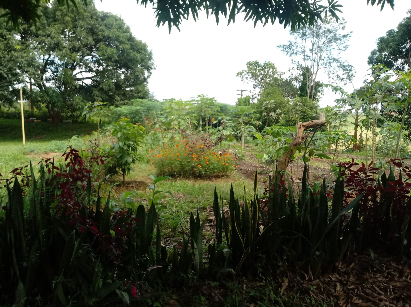 flaviafoto9