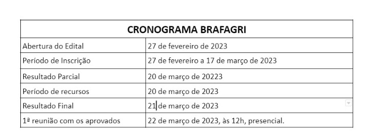 Cronograma