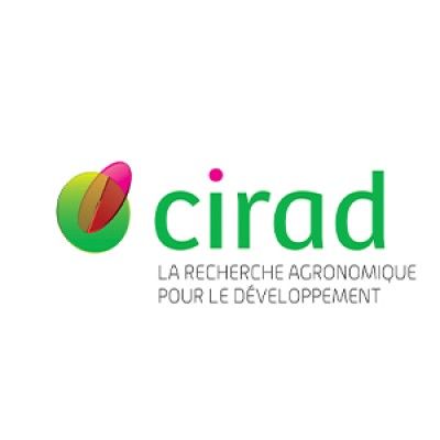Cirad