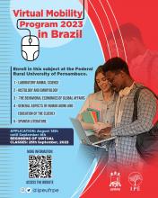mobilidade virtual